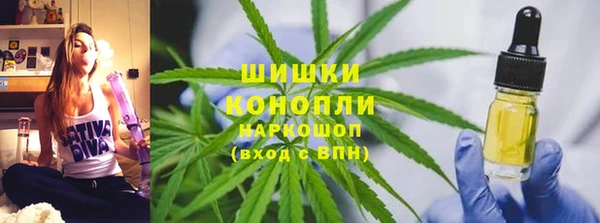 крисы Богородицк