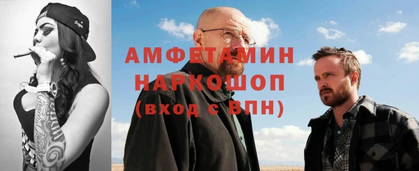 гидра Бородино