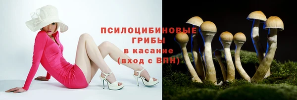 крисы Богородицк