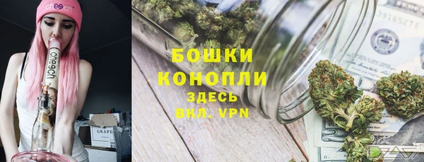 крисы Богородицк
