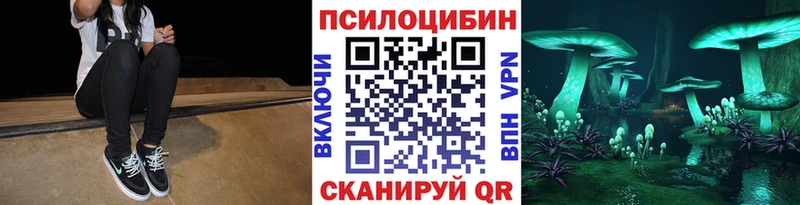 Галлюциногенные грибы Psilocybine cubensis  Тула 